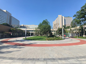 四川大學華西醫院景觀綠化改造工程